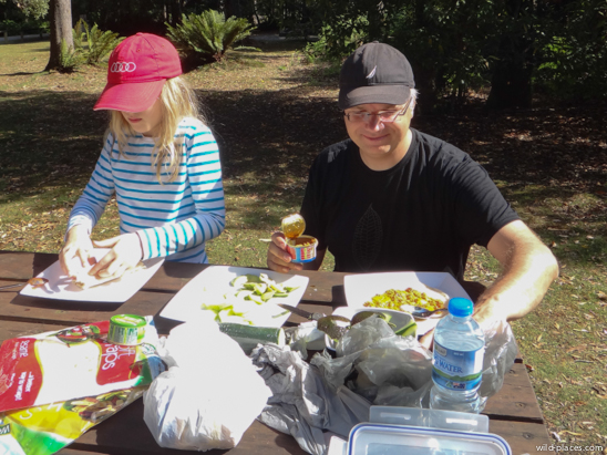 Evercreech Rainforest