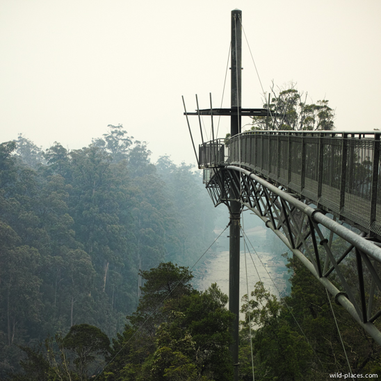 Tahune Airwalk