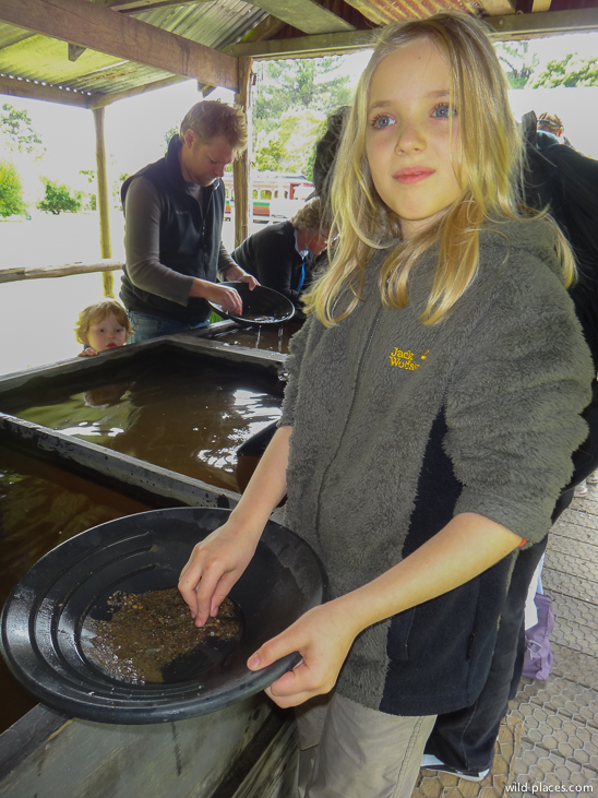 The West Coast Wilderness Railway