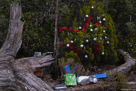 Christmas im Cradel Mountain NP