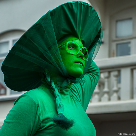 Reykjavik Menningarnott 2013