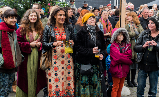 Reykjavik Menningarnott 2013