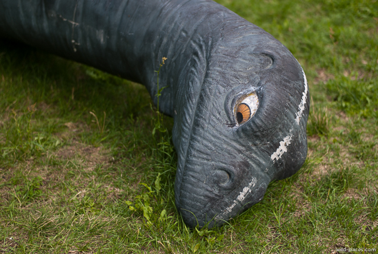 Spreepark Plänterwald
