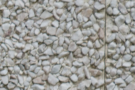 150-600mm, @300mm, f/8, corner