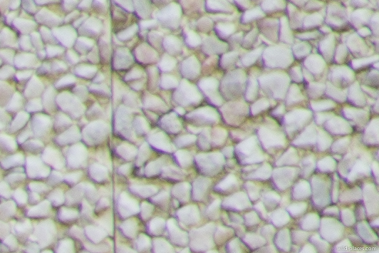 300mm, TC20, f/8, corner