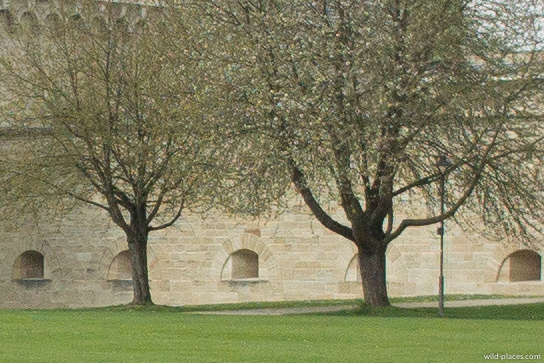 AW 10mm, f/2.8, center