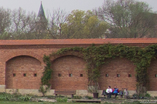 AW 11-27.5mm, f/3.5, edge