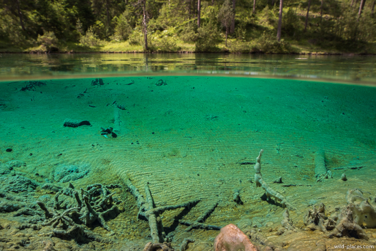 Fernsteinsee Quelltopf