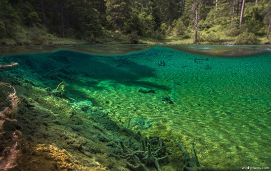 Fernsteinsee Quelltopf