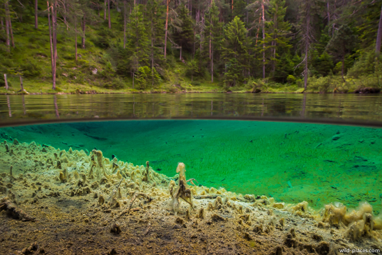 Fernsteinsee Quelltopf