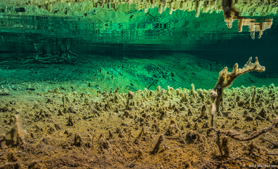 Fernsteinsee Quelltopf