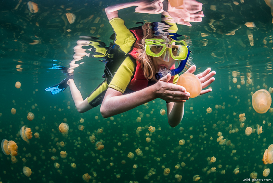 Jellyfish Lake, Palau