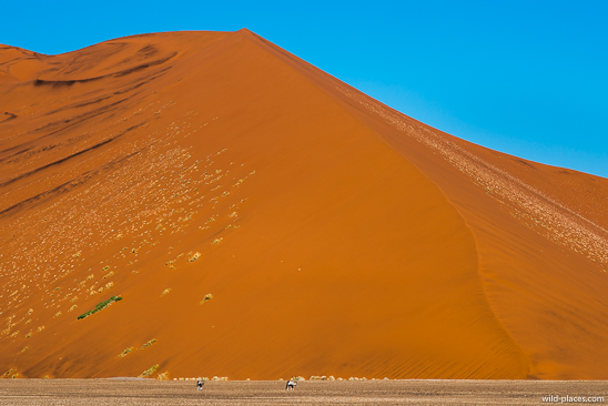 Sossusvlei