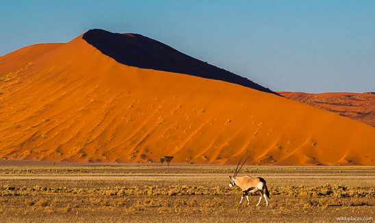 Sossusvlei