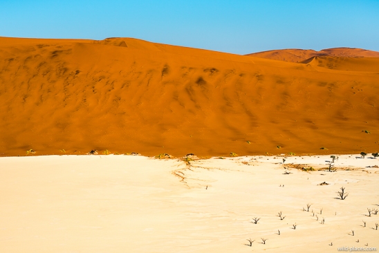 Sossusvlei