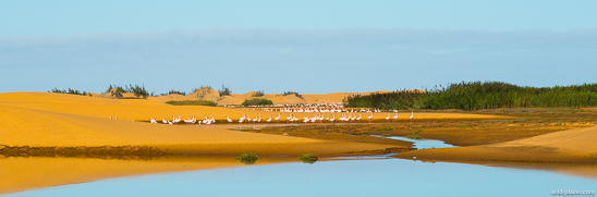 Bird Sanctuary, Walvis Bay