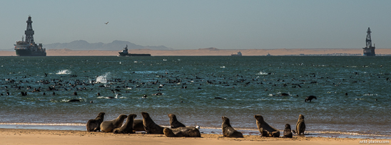Pelican Point, Walvis Bay