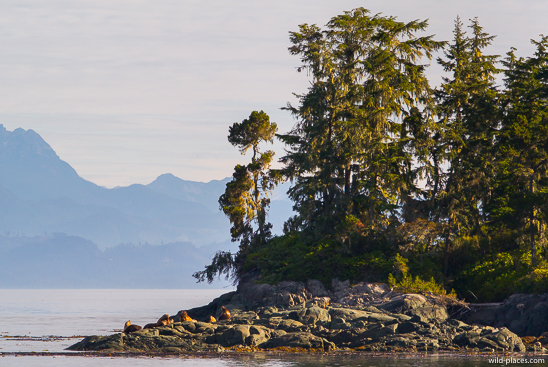 Telegraph Cove, Vancouver Island, BC, Canada