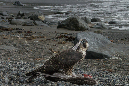 Sombrio Beach, Juan de Fuca Provincial Park, Vancouver Island, BC, Canada