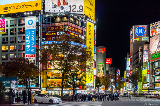 Shibuya Crossing