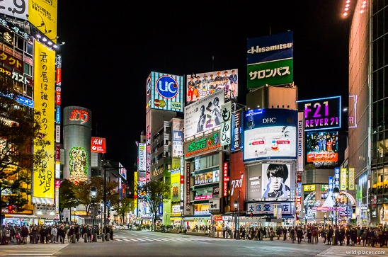 Shibuya Crossing