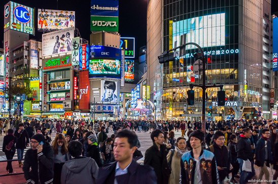 Shibuya Crossing
