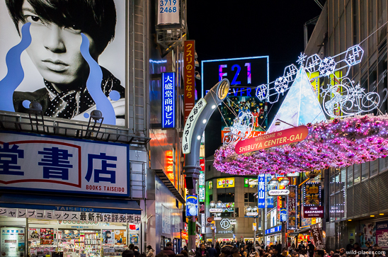 Shibuya Crossing