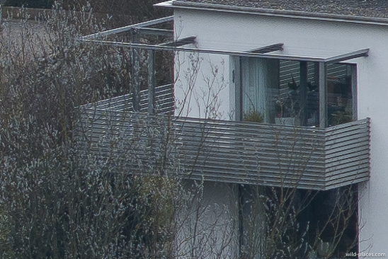 Leica 135, f/5.6, test 2, 100% crop