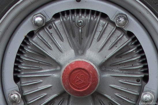 Leica 135, f/5.6, test 4, 100% crop