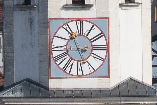 Leica 135, f/8, test 1, 100% crop