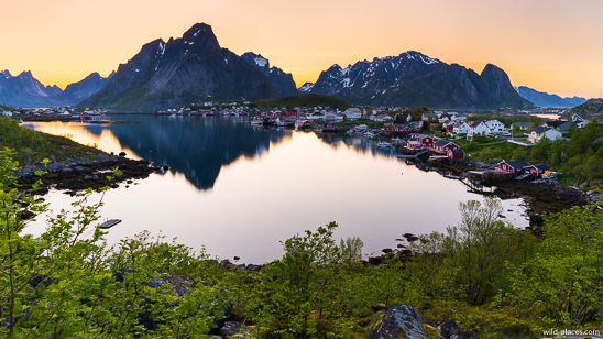 Reine