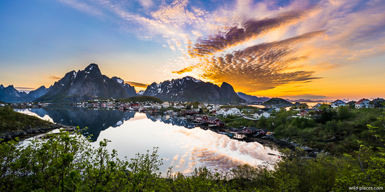 Reine